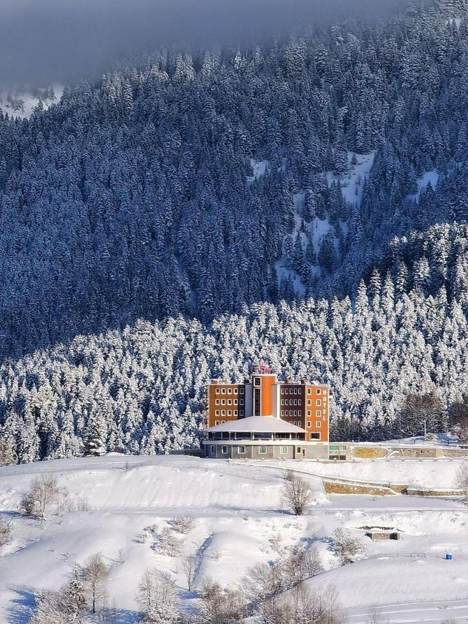 Black Forest Hotel Savsat Exterior foto