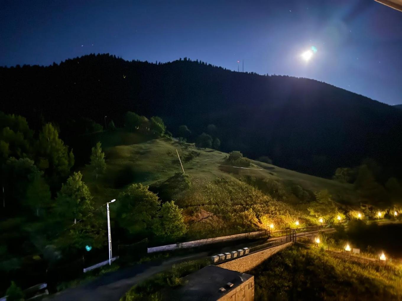 Black Forest Hotel Savsat Exterior foto